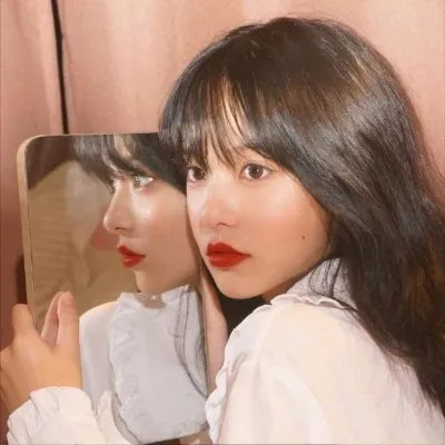泡影昙花